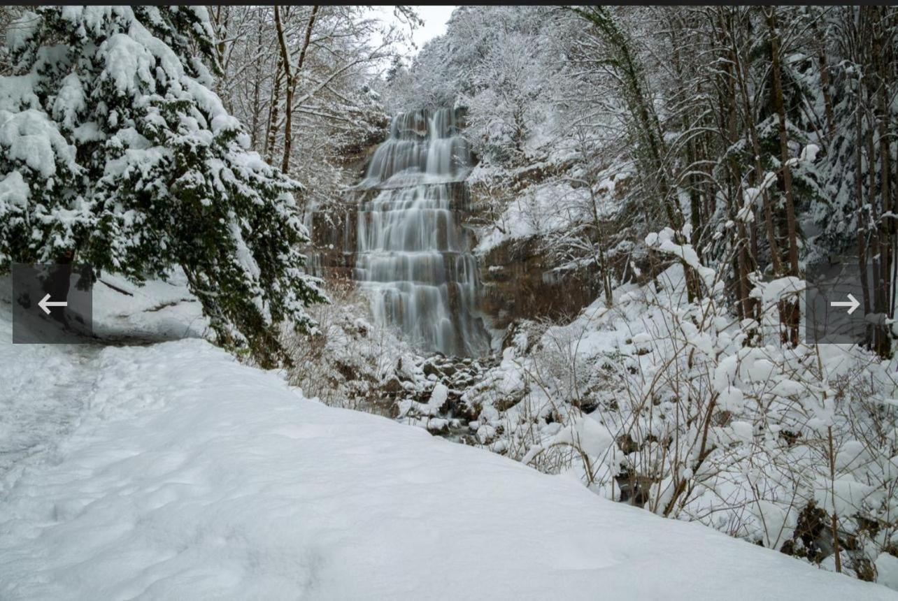 La Jurassienne Villa Champagnole Dış mekan fotoğraf